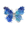 drawing butterfly vector image vector image