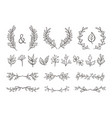 floral decorative elements and text dividers vector image