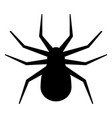 spider silhouette decoration photo for halloween vector image