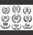 laurel wreath retro vintage sale collection vector image