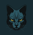 black cat head logo or mascot design vector image