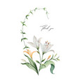 watercolor arrangement lily flowers vector image