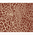 giraffe pattern color background vector image