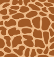 leather giraffe 3 vector image