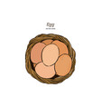 egg in basket hand draw sketch vector image