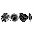 set various tropical black leaves design vector image vector image