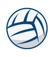 volleyball ball design vector image