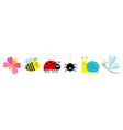 ladybug ladybird bee dragonfly butterfly spider vector image vector image