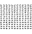 big set horses silhouettes vector image