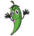 a green chili vector image vector image