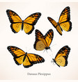 monarch art in several different views vector image