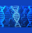 polygonal dna concept medical science background vector image