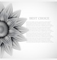 flower background eps10 vector image
