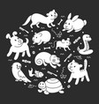 pet shop silhouette in circle template vector image vector image