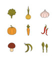set hand drawn vegetables handdrawn elements vector image