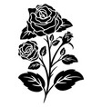 silhouette black motif rose flower blooming vector image vector image