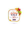fashion autumn sale banner vector image vector image