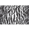 old paper tiger texture art 01 vector image