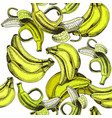 sketch background fruit vector image