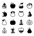 apple and pear icon set vector image