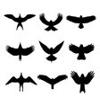 birds in flight vector image