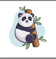 funny lovely panda climbs on bamboo vector image