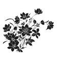 bouquet of spring flowers on white background vector image