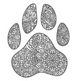 dog paw print entangle vector image vector image