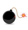 bomb vector image vector image