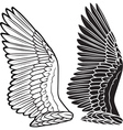 dove wings vector image