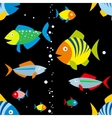 background of colorful fish vector image vector image