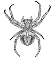 decorative spider with patterns vector image