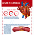 infographic realistic heart and blocked fat vessel vector image vector image