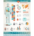 healthcare and medical infographics vector image