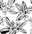 tropical floral summer seamless pattern vector image