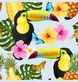 toucans and flowers vector image