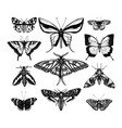collection high detailed insects sketches hand vector image