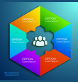 web infographic template vector image