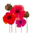 poppy flower and seed box design element vector image