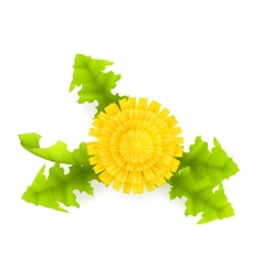 Flowers set Royalty Free Vector Image - VectorStock