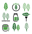 superfood - kale leaves green icons set vector image