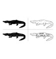 cut of crocodile set poster butcher diagram vector image vector image