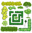 different plants and trees set for architectural vector image vector image