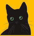black cat with green eyes vector image vector image