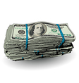 money bundle 100 vector image vector image