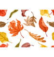 seamless floral pattern with autumn foliage vector image vector image