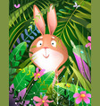 baby rabbit or bunny peeping from grass vector image vector image