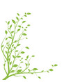 green tree branch silhouette isolated vector image vector image