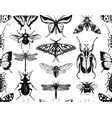 seamless pattern with hand-sketched insects hand vector image