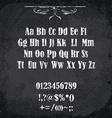 chalked alphabet vector image